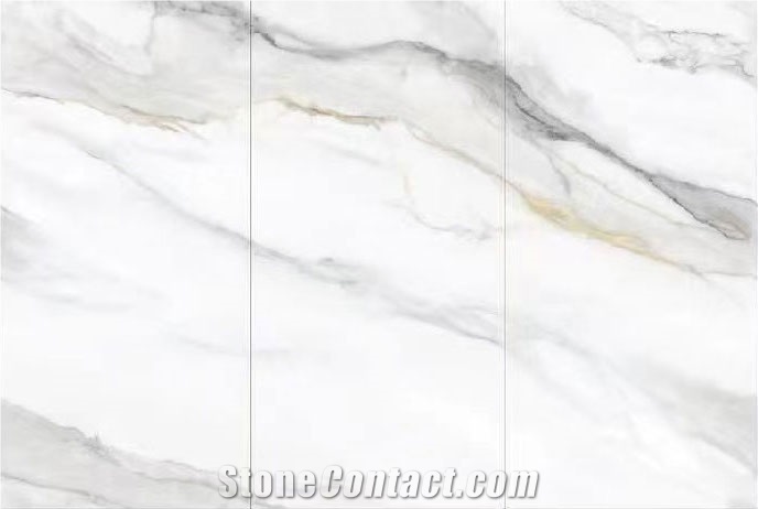 Artificial Landscape Design Porcelain For Interior Design