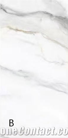 Artificial Landscape Design Porcelain For Interior Design