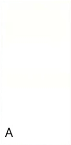 Hot Selling Pure White Sintered Stone Slab&Tile For Floor