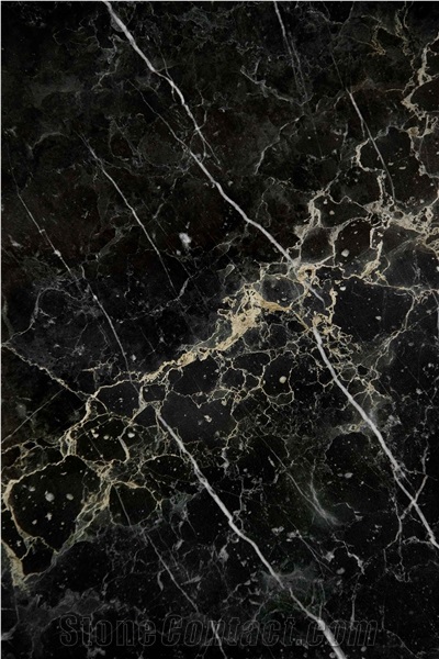 Black Noir Picasso Gold Marble Blocks