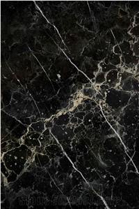 Black Noir Picasso Gold Marble Blocks