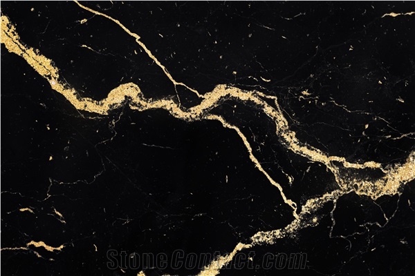 Black Noir Picasso Gold Marble Blocks