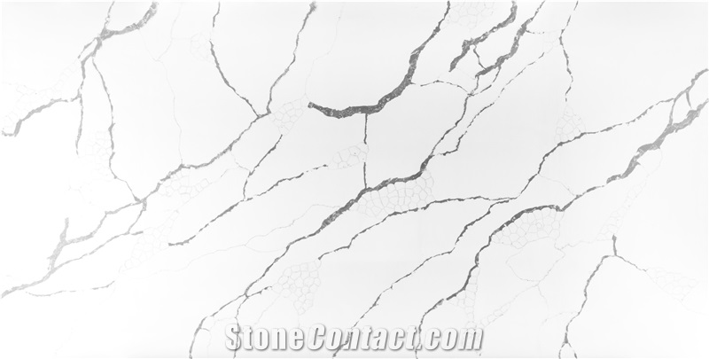 Quartz Slab White Background Color