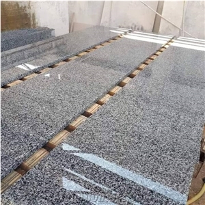 Granite Bianco Halayeb, New Halayeb Grey Granite Slabs Granite Bianco Halayeb, New Halayeb Grey Granite Slabs