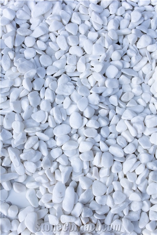 Pebble Stone Polished - Shine