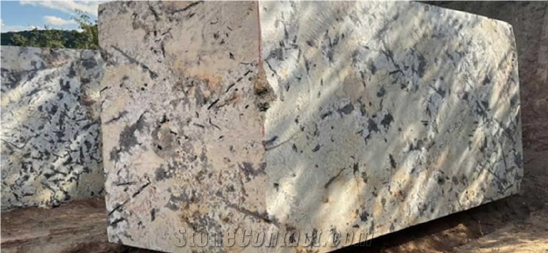 Blanc Du Blanc Granite-Gold White Granite Blocks