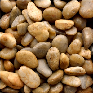 Yellow Polished Pebbles