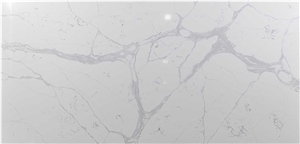 Calacatta Adonis Quartz Slabs