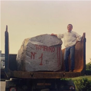 Diorite Del Piemonte-Diorite Di Traversella Blocks