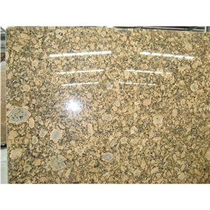 Giallo Venezia Fiorito Granite Countertop Golden Yellow Stone