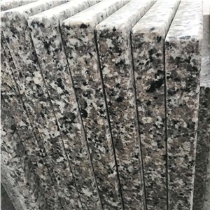 Swan Grey Slab Granite Countertop Kitchen For USA Project