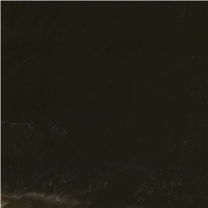 Regis Black Marble