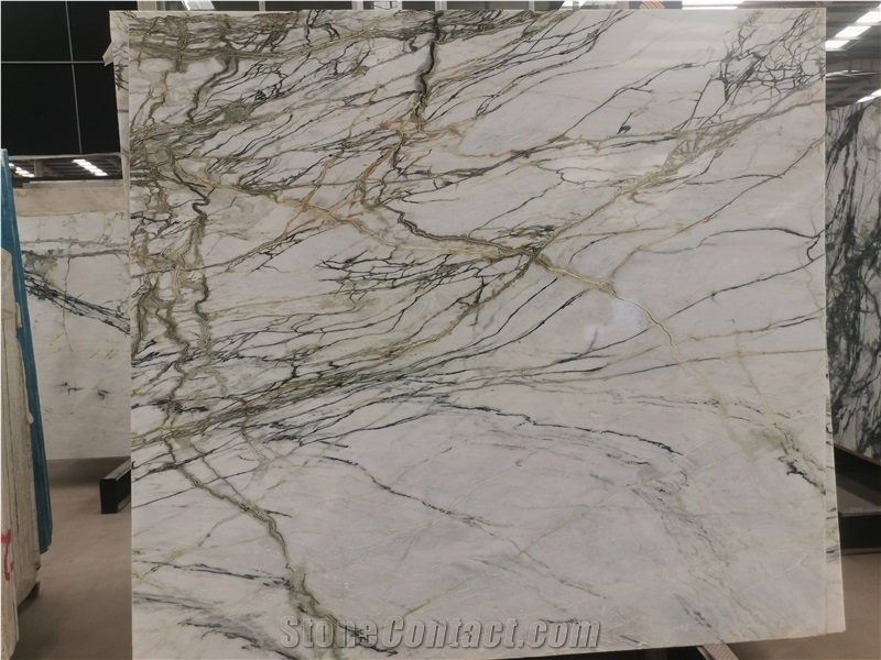 Clivia White Marble Wall White Project Tile