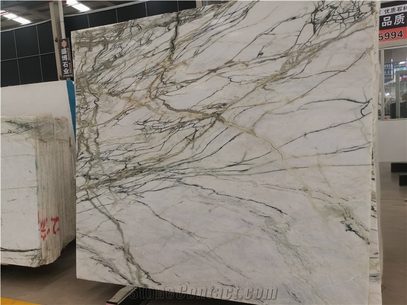 Clivia White Marble Wall White Project Tile