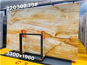 Yellow Giallo Macaubas Gold Quartzite Slabs
