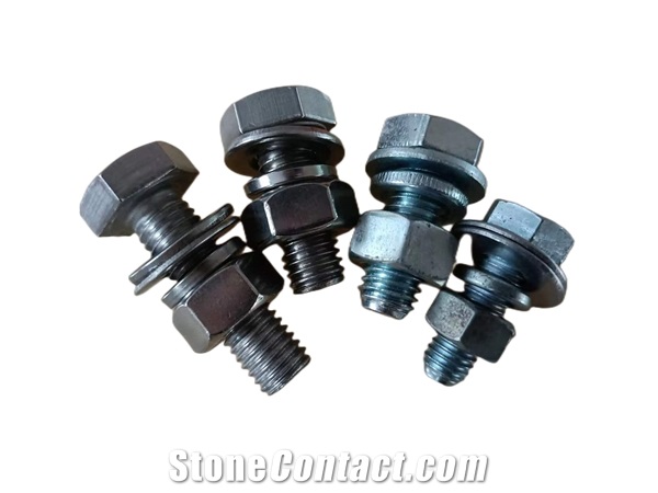 Hex Bolt/Carriage Bolt/Stud Bolt/Flange Bolt/T Head Bolt