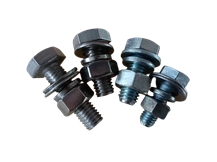 Hex Bolt/Carriage Bolt/Stud Bolt/Flange Bolt/T Head Bolt