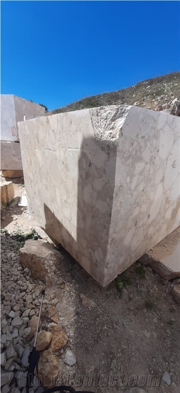 Breccia Veneziana Marble Blocks