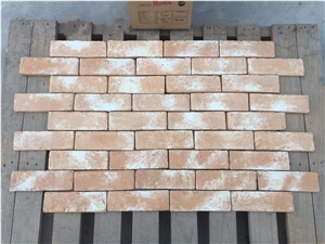 Artificial Culture Wall Veneer