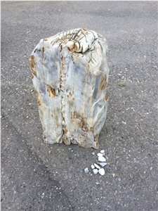 Petrified Wood Stone Garden Design Elements