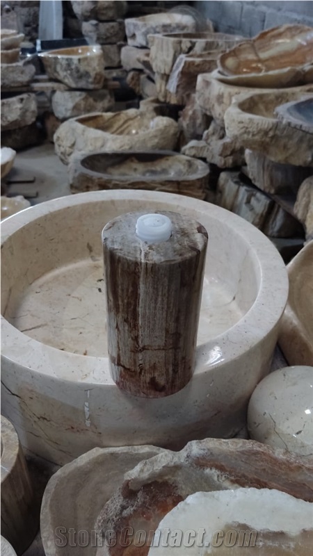 Petrified Wood Stone Soap Dispenser