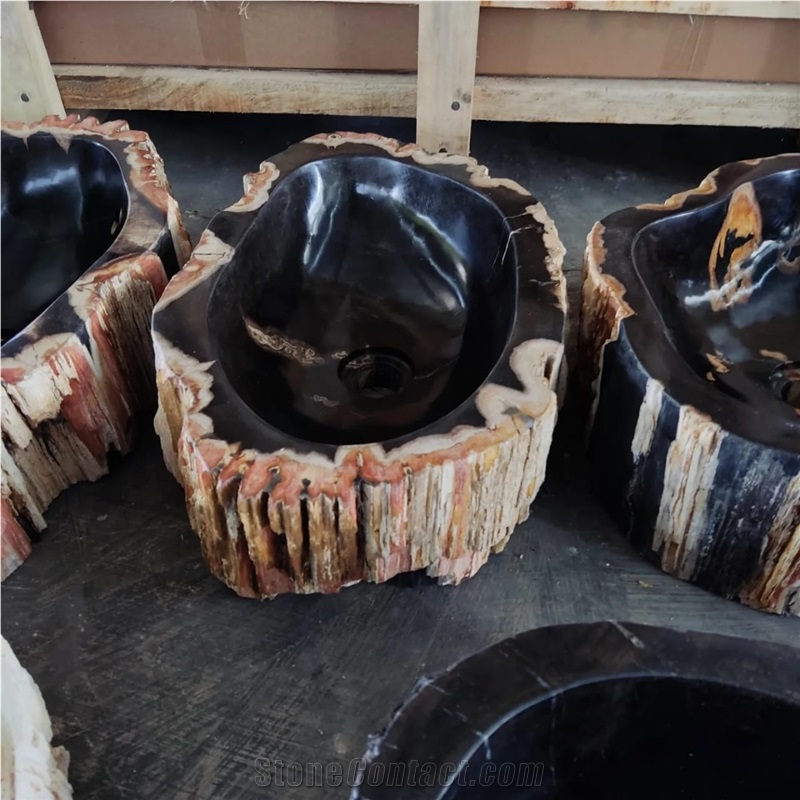 Petrified Wood Stone Wash Basin
