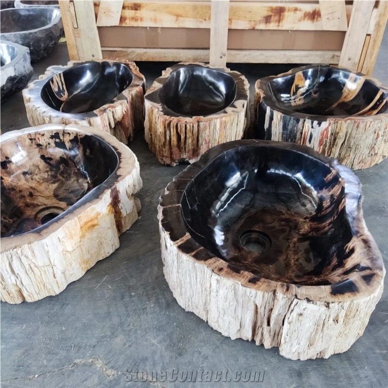 Petrified Wood Stone Wash Basin