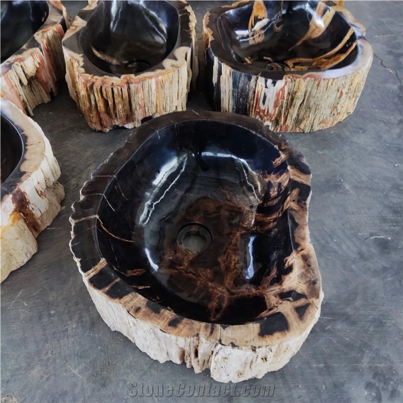 Petrified Wood Stone Wash Basin