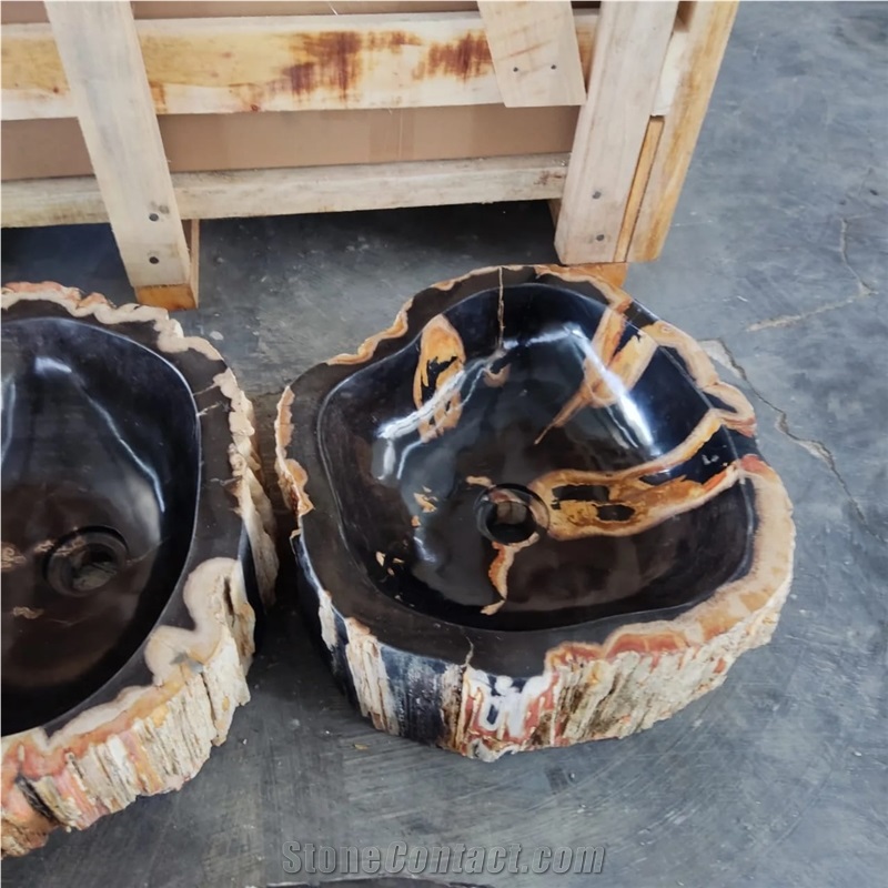 Petrified Wood Stone Wash Basin