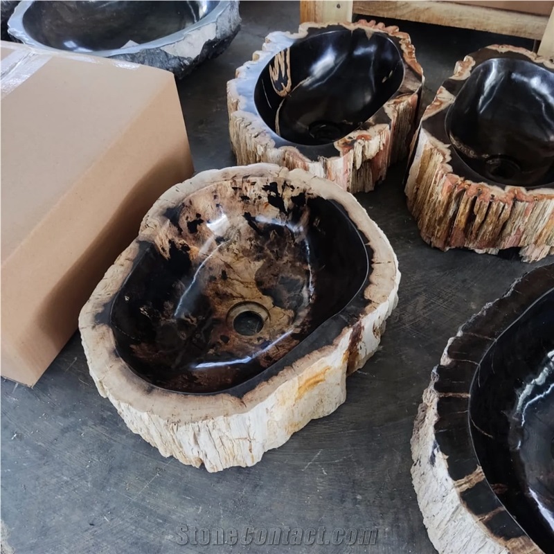 Petrified Wood Stone Wash Basin