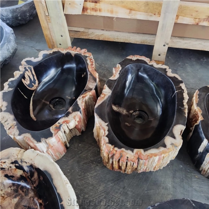 Petrified Wood Stone Wash Basin