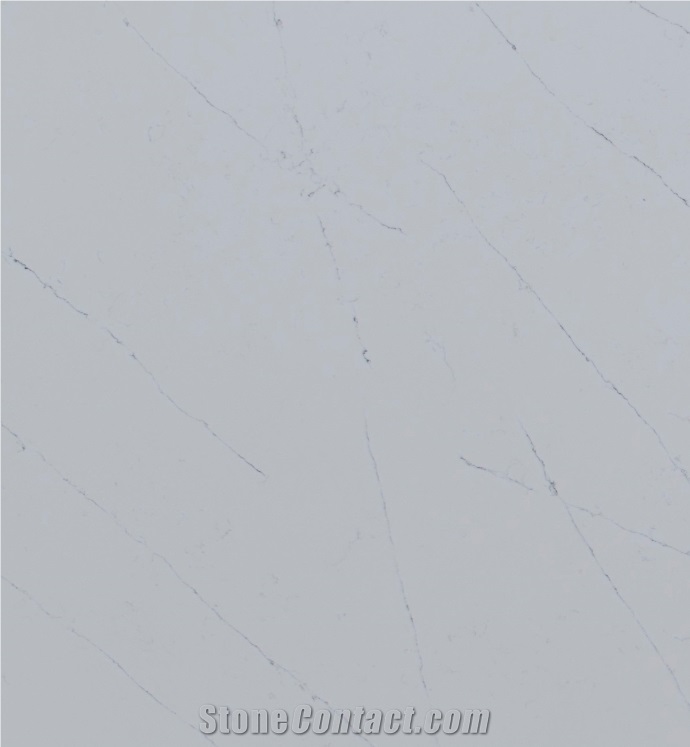 Calacatta Solid Quartz Slabs In White