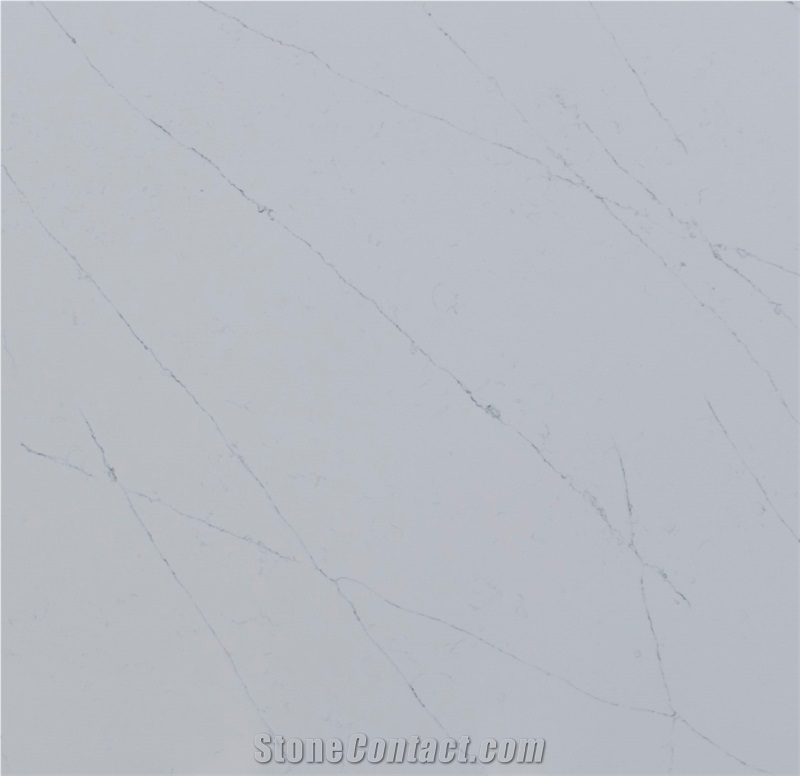 Calacatta Solid Quartz Slabs In White