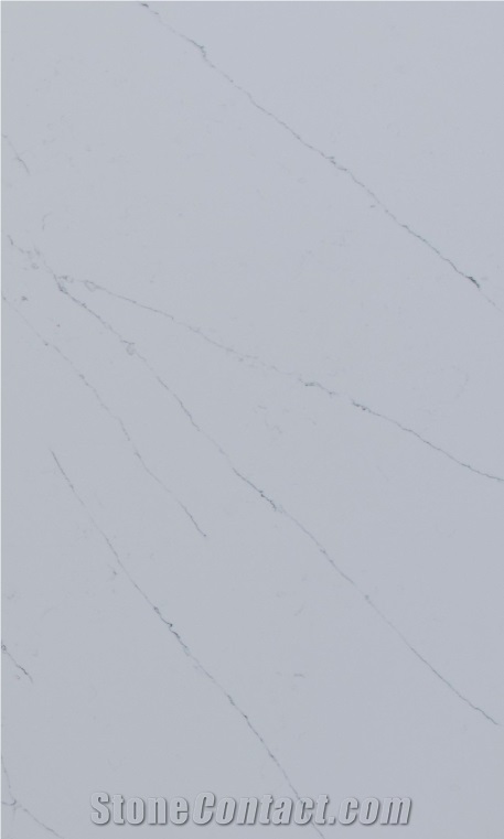 Calacatta Solid Quartz Slabs In White