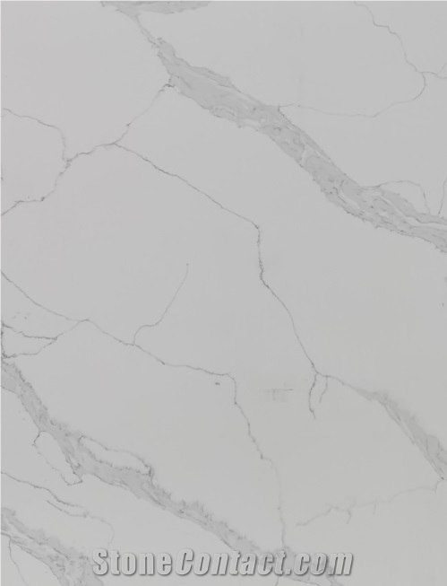 Cararra Quartz Stone With Nice Texture