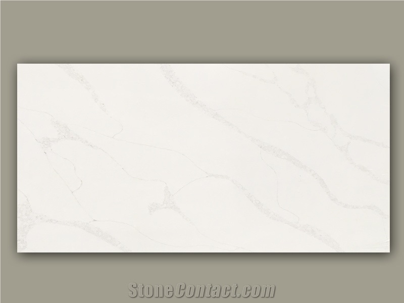 Glossy And Classy Calacatta Texture 9512