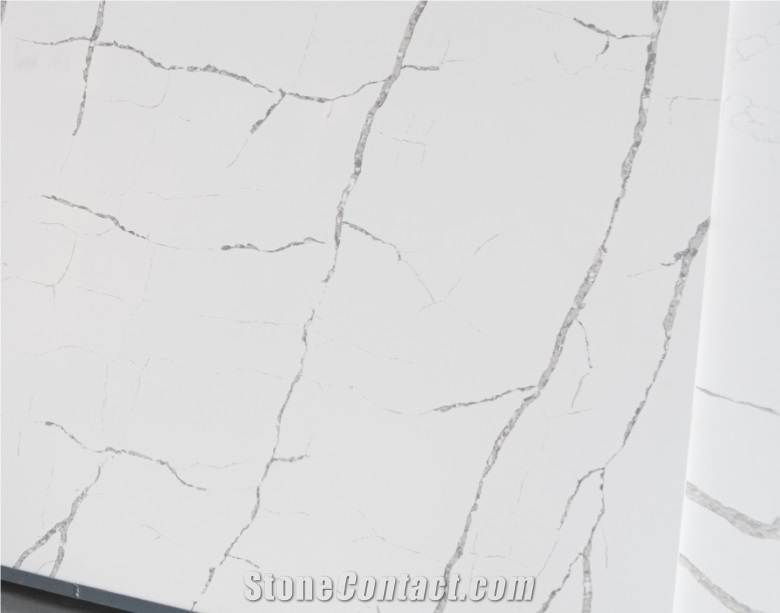 The Agility And Nature  In The Quartz Slab Veins