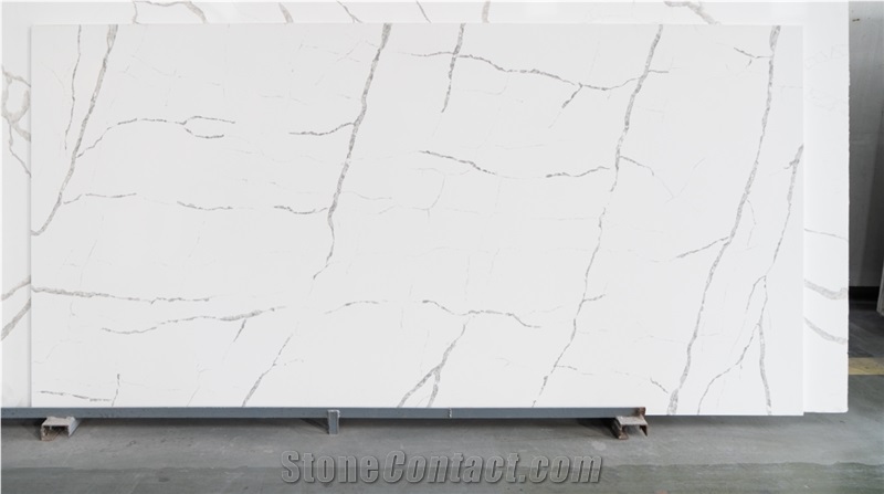 The Agility And Nature  In The Quartz Slab Veins