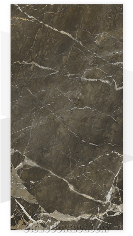 Grande Massimo Porcelain Slab - 8020 Camouflage