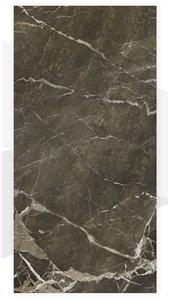Grande Massimo Porcelain Slab - 8020 Camouflage