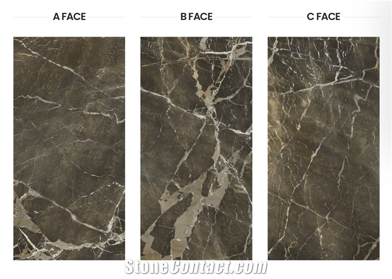 Grande Massimo Porcelain Slab - 8020 Camouflage