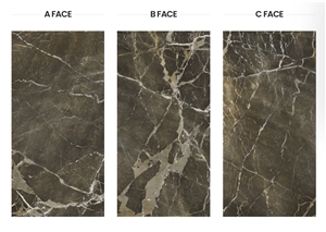Grande Massimo Porcelain Slab - 8020 Camouflage