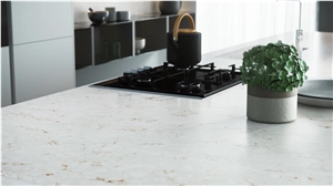 Forest Sughero Quartz Kitchen Countertop