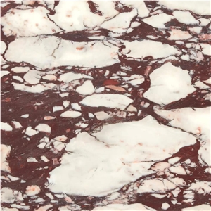 Calacatta Viola Marble Slabs