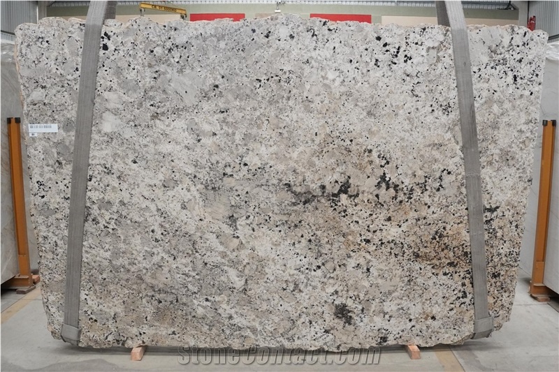 Delicatus Silver White Granite Polished Slab