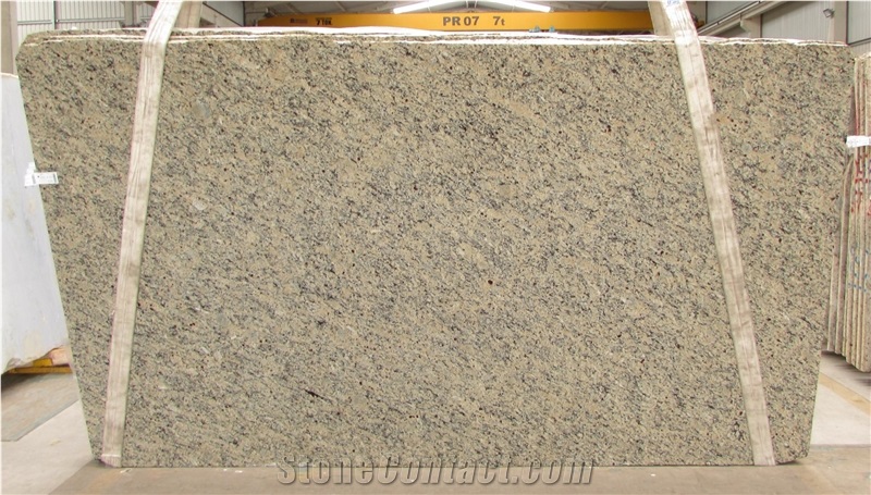 Santa Cecilia Light Granite Slab