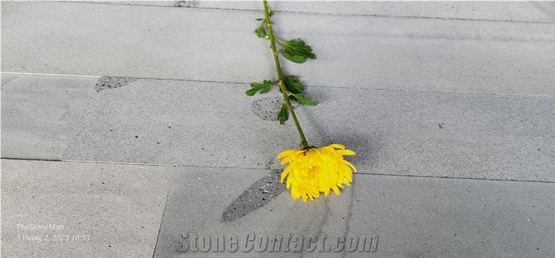 Lava Stone Stone Veneer Wall Cladding