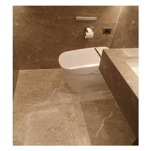 Beautiful Oman Beige Marble Slabs & Tile