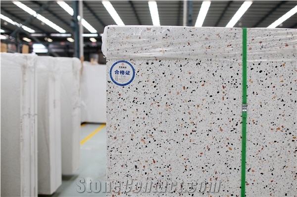 DXW201 Spring Garden Terrazzo White Big Slab Tile