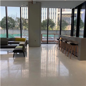 DXW212 Pure White Terrazzo Nature Aggregate Tile